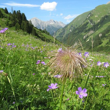 Ferienwohnungen Schlichtherle Bach  Esterno foto